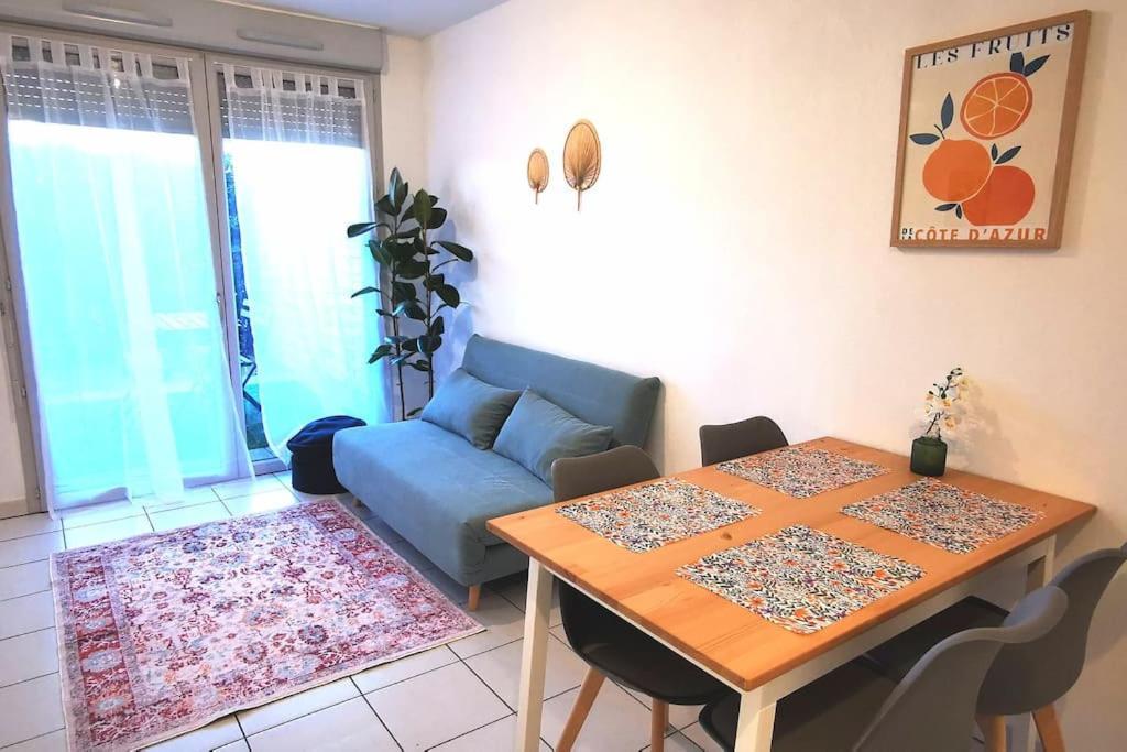Grand Studio Lumineux Et Sa Terrasse Au Calme Toulouse Eksteriør billede