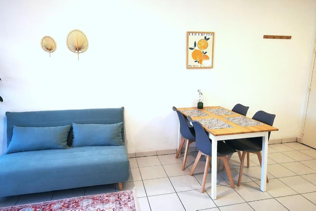 Grand Studio Lumineux Et Sa Terrasse Au Calme Toulouse Eksteriør billede