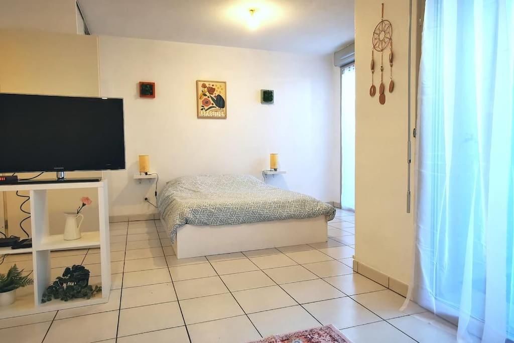 Grand Studio Lumineux Et Sa Terrasse Au Calme Toulouse Eksteriør billede