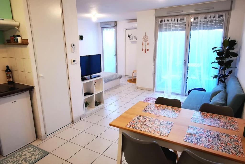 Grand Studio Lumineux Et Sa Terrasse Au Calme Toulouse Eksteriør billede