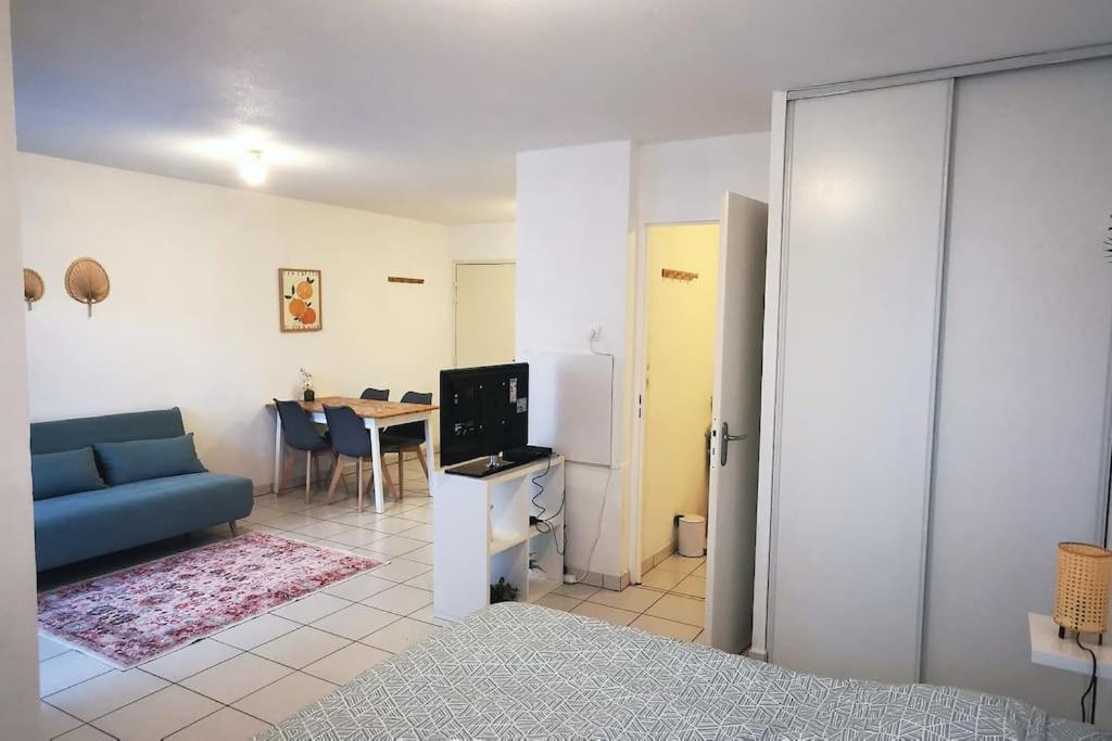 Grand Studio Lumineux Et Sa Terrasse Au Calme Toulouse Eksteriør billede