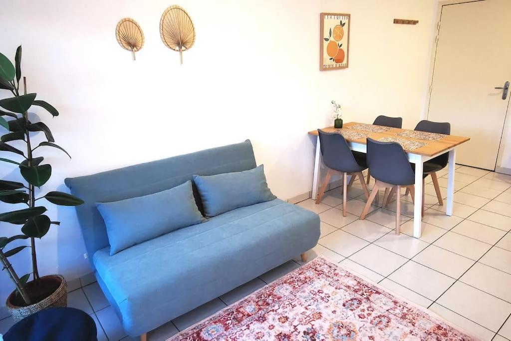 Grand Studio Lumineux Et Sa Terrasse Au Calme Toulouse Eksteriør billede