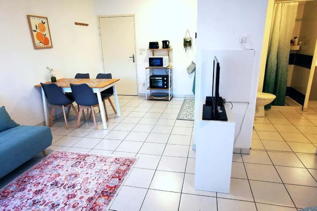 Grand Studio Lumineux Et Sa Terrasse Au Calme Toulouse Eksteriør billede