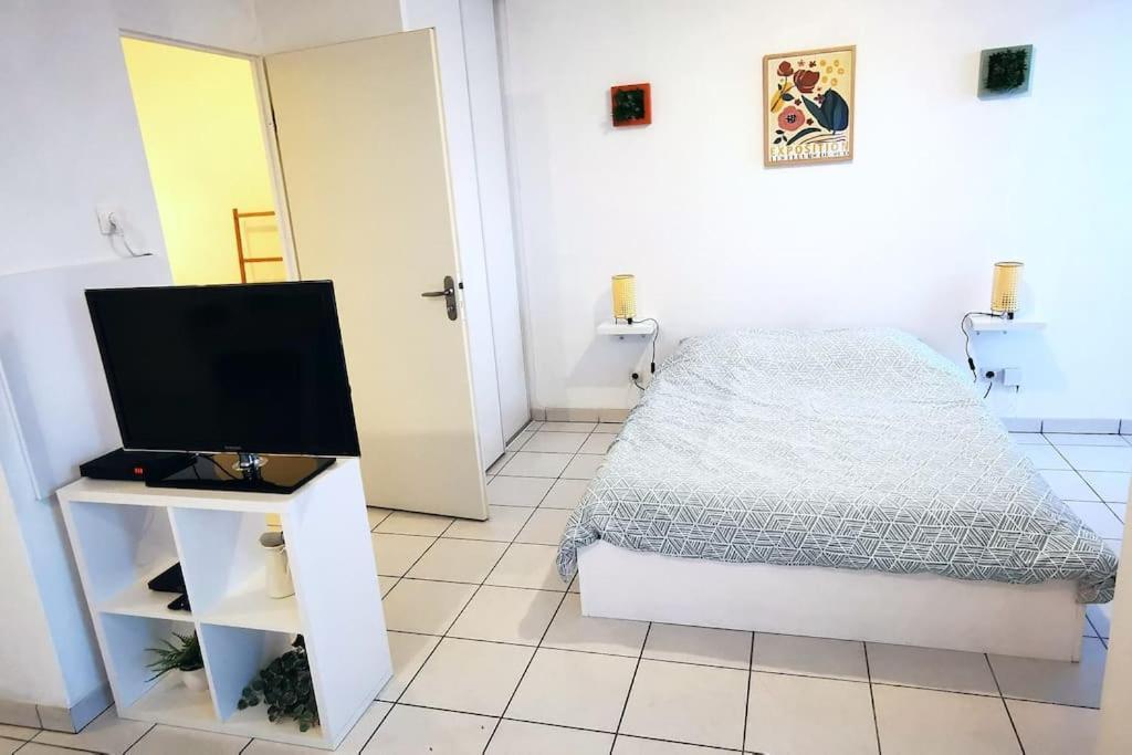 Grand Studio Lumineux Et Sa Terrasse Au Calme Toulouse Eksteriør billede