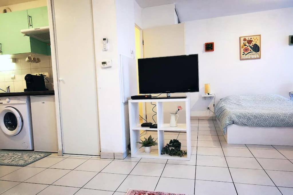 Grand Studio Lumineux Et Sa Terrasse Au Calme Toulouse Eksteriør billede