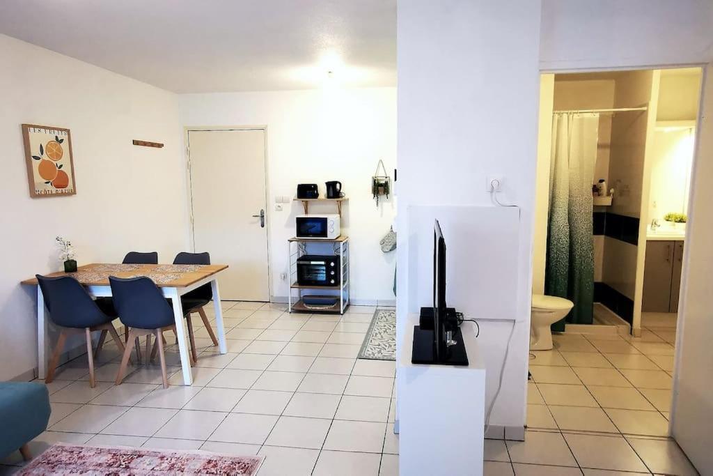 Grand Studio Lumineux Et Sa Terrasse Au Calme Toulouse Eksteriør billede